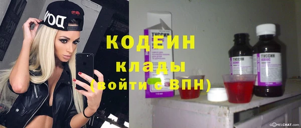 стаф Вяземский