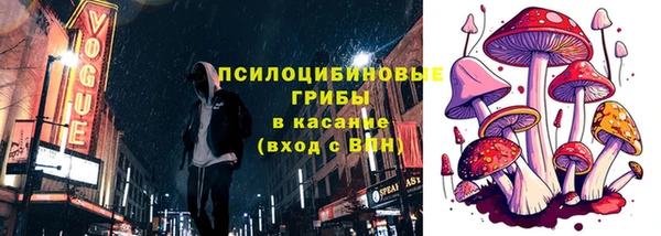 стаф Вяземский