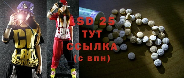 стаф Вяземский