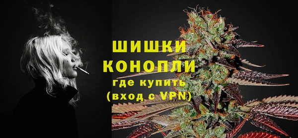 стаф Вяземский
