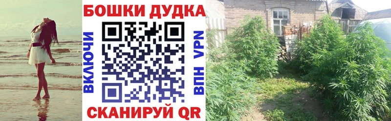 Шишки марихуана SATIVA & INDICA  сколько стоит  Нефтекамск 